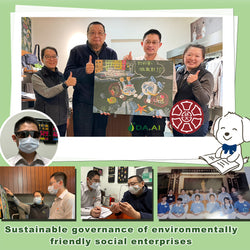 Sustainable governance of environmentally friendly social enterprises